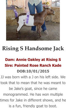 Rising S Handsome Jack Dam: Annie Oakley at Rising S Sire: Painted Rose Ranch Kade DOB:10/01/2015 JJ was born with a J on his left side. We took that to mean that he was meant to be Jake’s goat, since he came monogrammed. He has won multiple times for Jake in different shows, and he is a fun, friendly goat to boot.